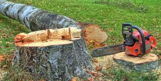 Best Tree Health Inspection  in Rosedale, CA