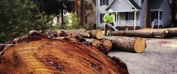 Best Aeration Services  in Rosedale, CA